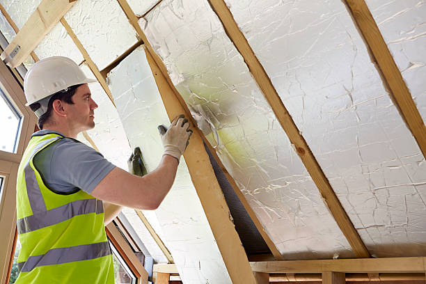 Best Spray Foam Insulation  in Virginia, MN